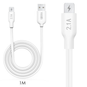 Cable IP 2.1A