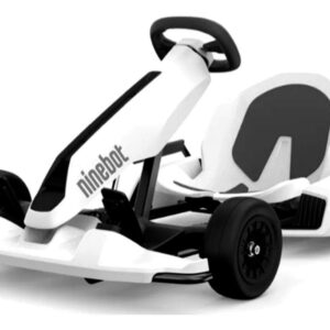 Segway GoKart KIT